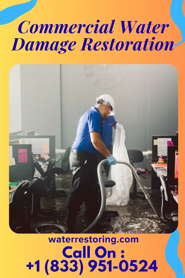 Commercial Water Damage Restoration in Blucksberg Mountain, SD